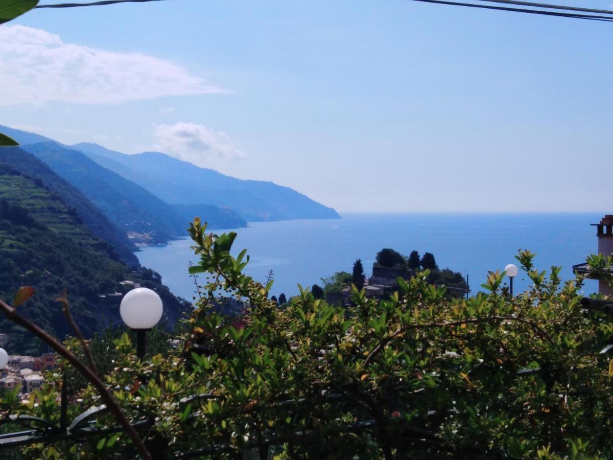 La Cabana Cinque Terre Monterosso Monterosso al Mare Buitenkant foto
